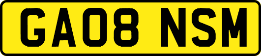 GA08NSM
