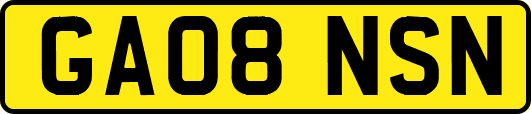 GA08NSN