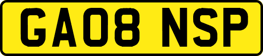 GA08NSP