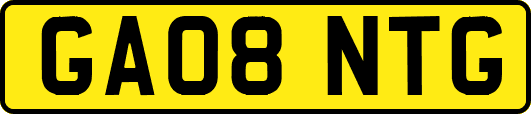 GA08NTG