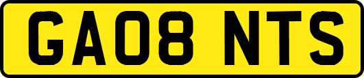 GA08NTS