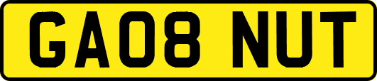 GA08NUT