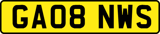 GA08NWS