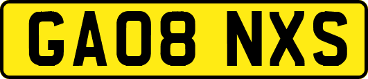 GA08NXS