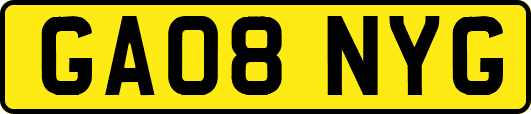 GA08NYG