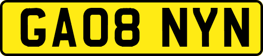 GA08NYN