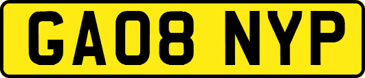 GA08NYP
