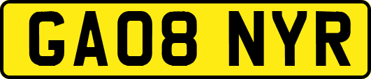 GA08NYR