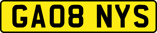 GA08NYS