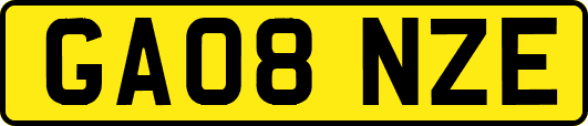 GA08NZE