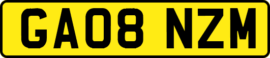 GA08NZM