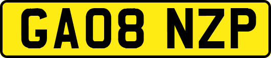 GA08NZP