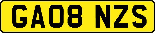 GA08NZS