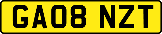 GA08NZT