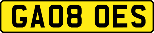 GA08OES