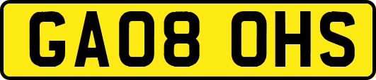GA08OHS