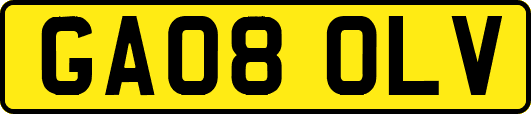 GA08OLV