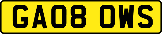 GA08OWS
