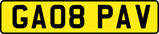 GA08PAV