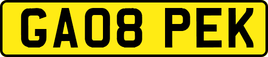 GA08PEK