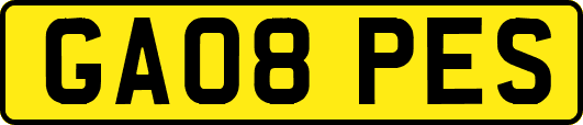 GA08PES