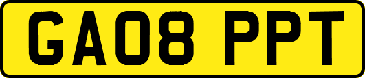 GA08PPT