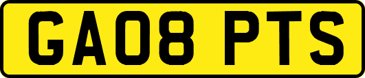 GA08PTS