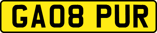 GA08PUR