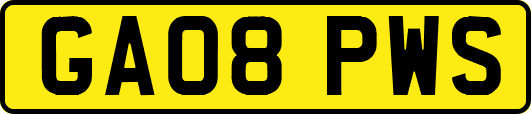 GA08PWS