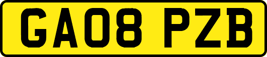 GA08PZB