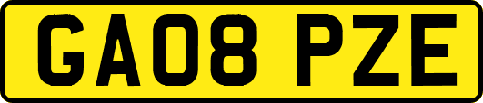 GA08PZE