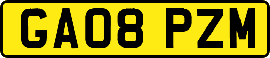 GA08PZM