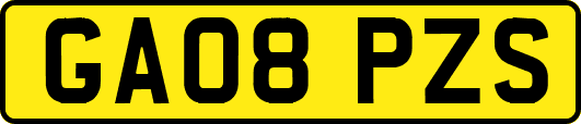 GA08PZS