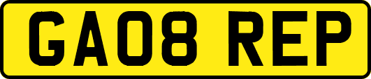GA08REP