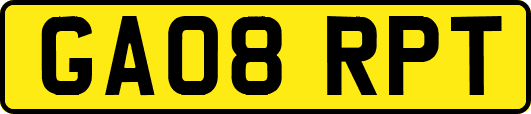 GA08RPT