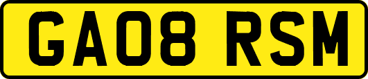 GA08RSM