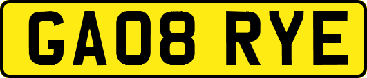 GA08RYE