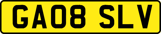 GA08SLV