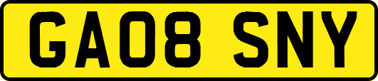 GA08SNY