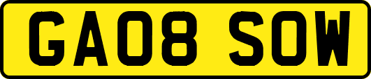 GA08SOW