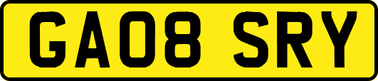 GA08SRY