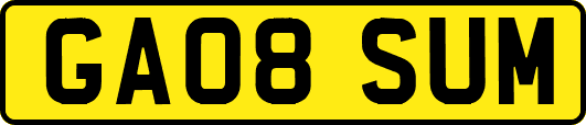 GA08SUM