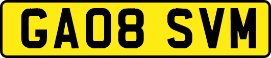 GA08SVM