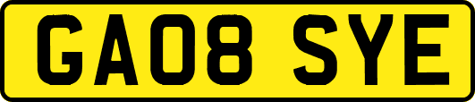 GA08SYE