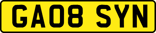GA08SYN