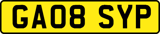 GA08SYP