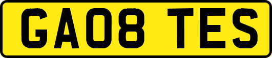 GA08TES