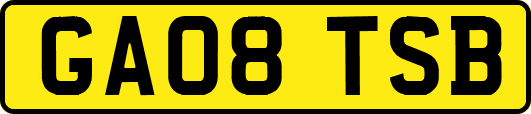 GA08TSB