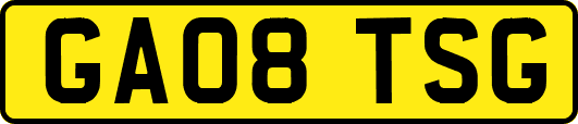 GA08TSG