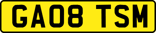 GA08TSM